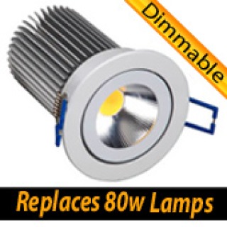 13w LED Downlight (Dimmable) with Driver