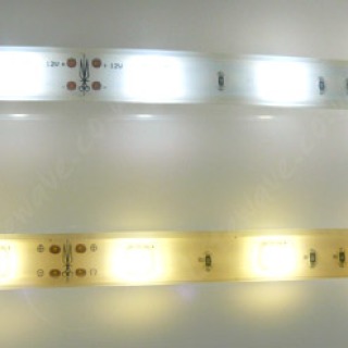 Splashproof Single Colour 12vdc LED Strip - 5M Reel