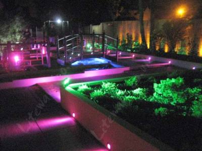 Garden LED light magenta