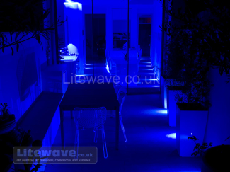 RGB Spotlights displaying blue